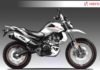 hero-xpulse-300