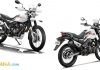 hero-xpulse-200-4.jpg