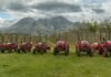mahindra oja tractors