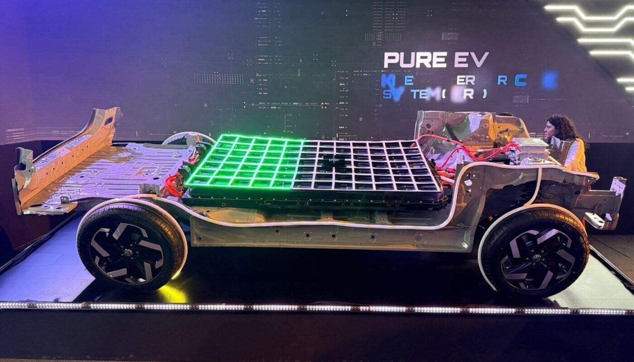 MG-Adapt-NEV-2